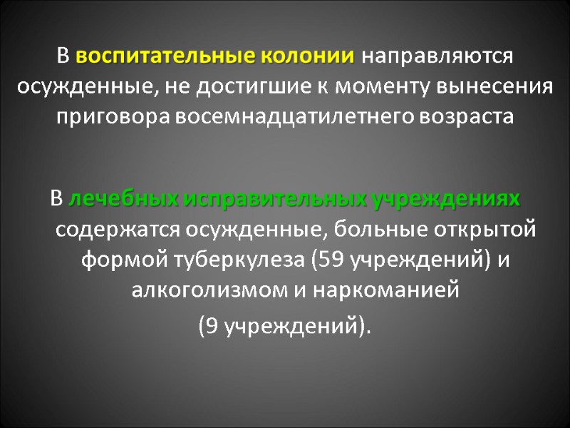 В воспитательные колонии направляются осужденные, не достигшие к моменту вынесения приговора восемнадцатилетнего возраста 